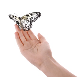 Woman holding beautiful rice paper butterfly on white background, closeup