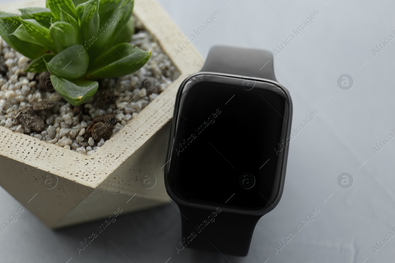 Stylish smart watch and plant on grey table, closeup Photo of Stylish smart watch and plant on grey table, closeup