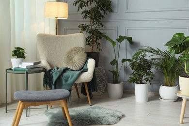 Many potted houseplants near cozy armchair in stylish room