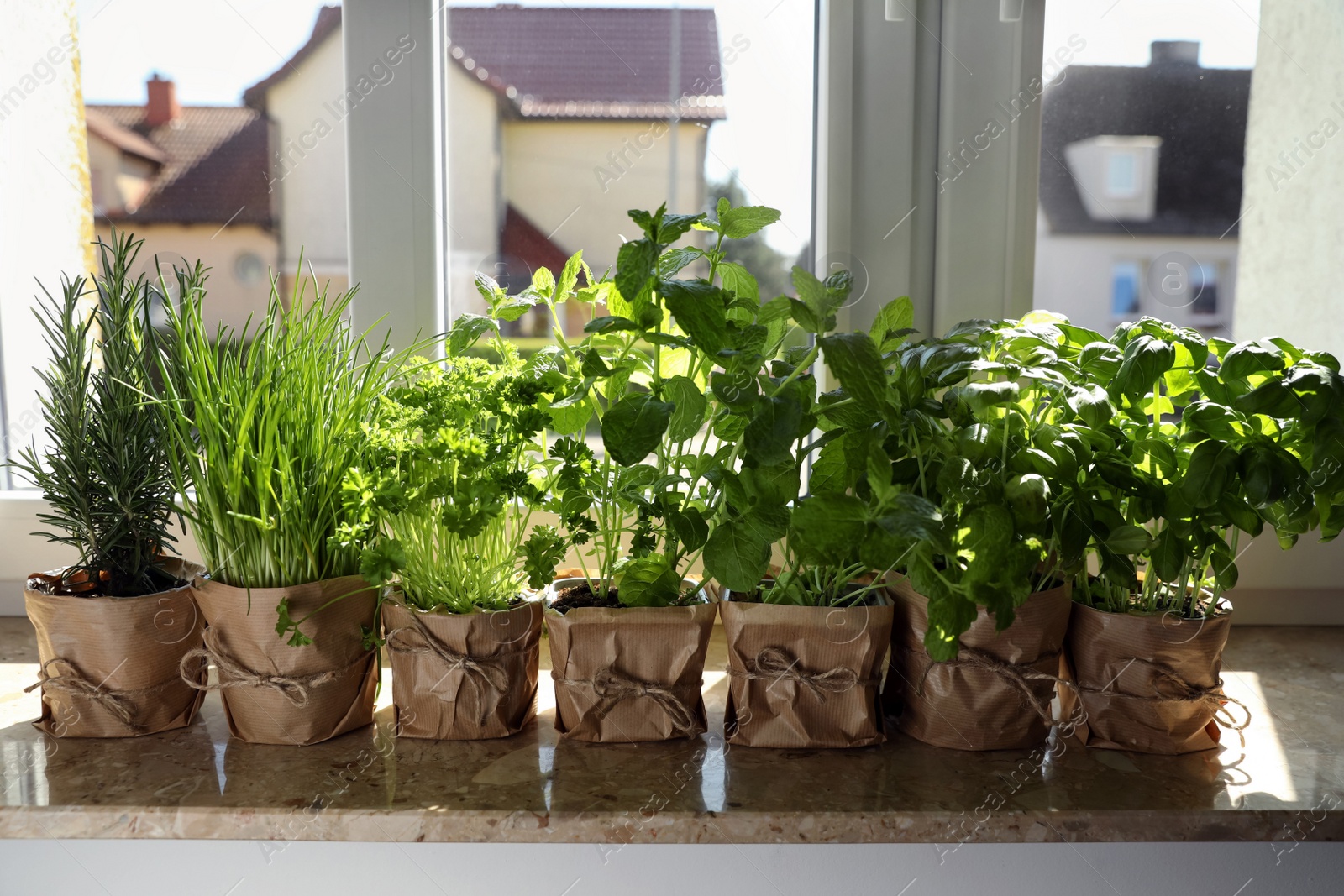 Photo of Different aromatic potted herbs on windowsill indoors