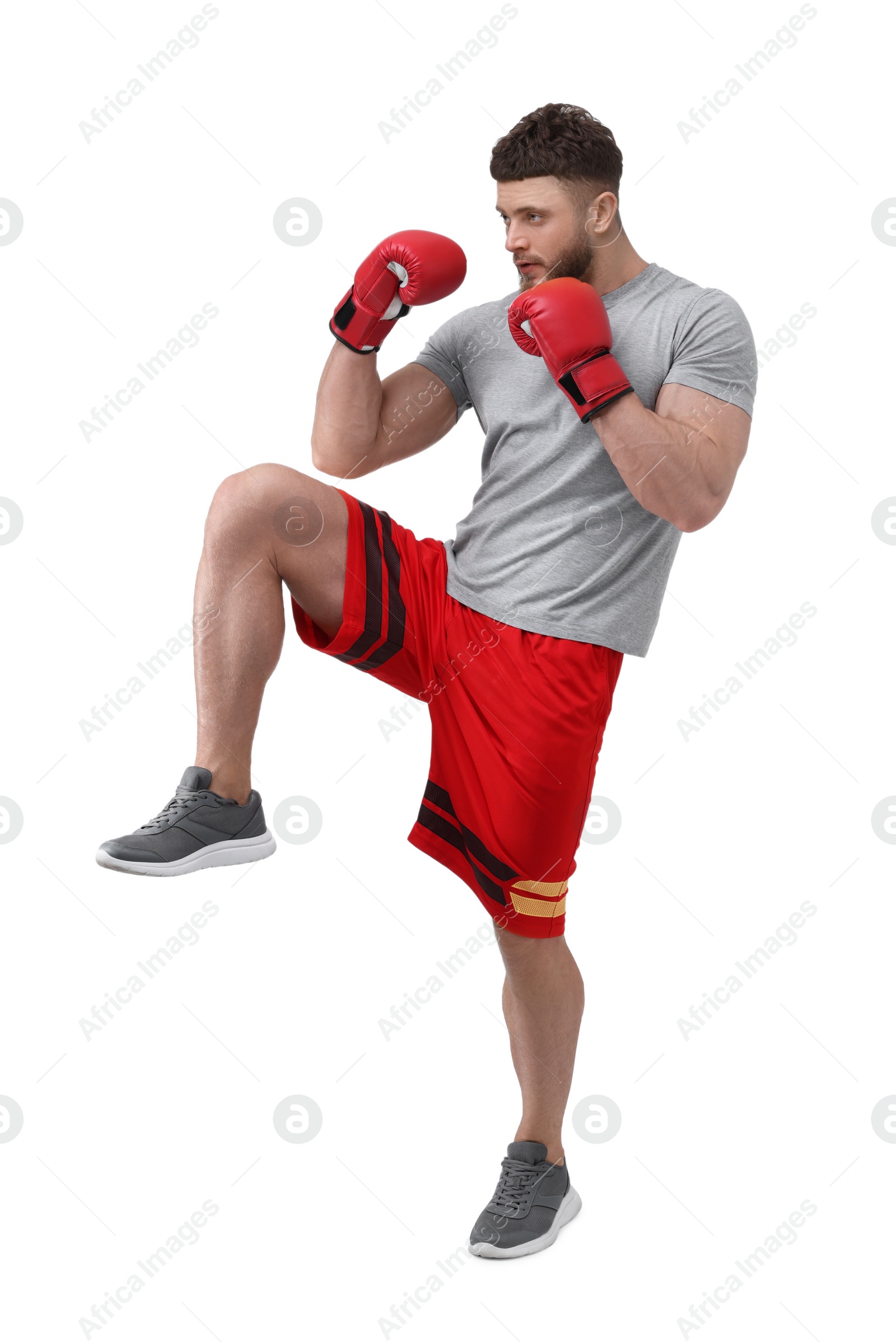 Photo of Man in boxing gloves fighting on white background