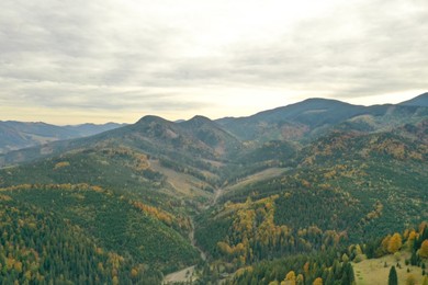 Aerial view of beautiful mountain forest on autumn day