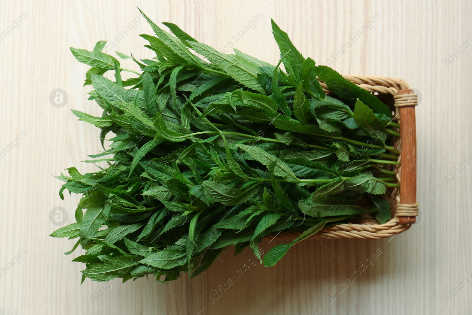 Photo of Beautiful green mint in wicker basket on white wooden table, top view