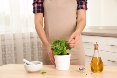 Woman picking fresh basil while cooking in kitchen, closeup