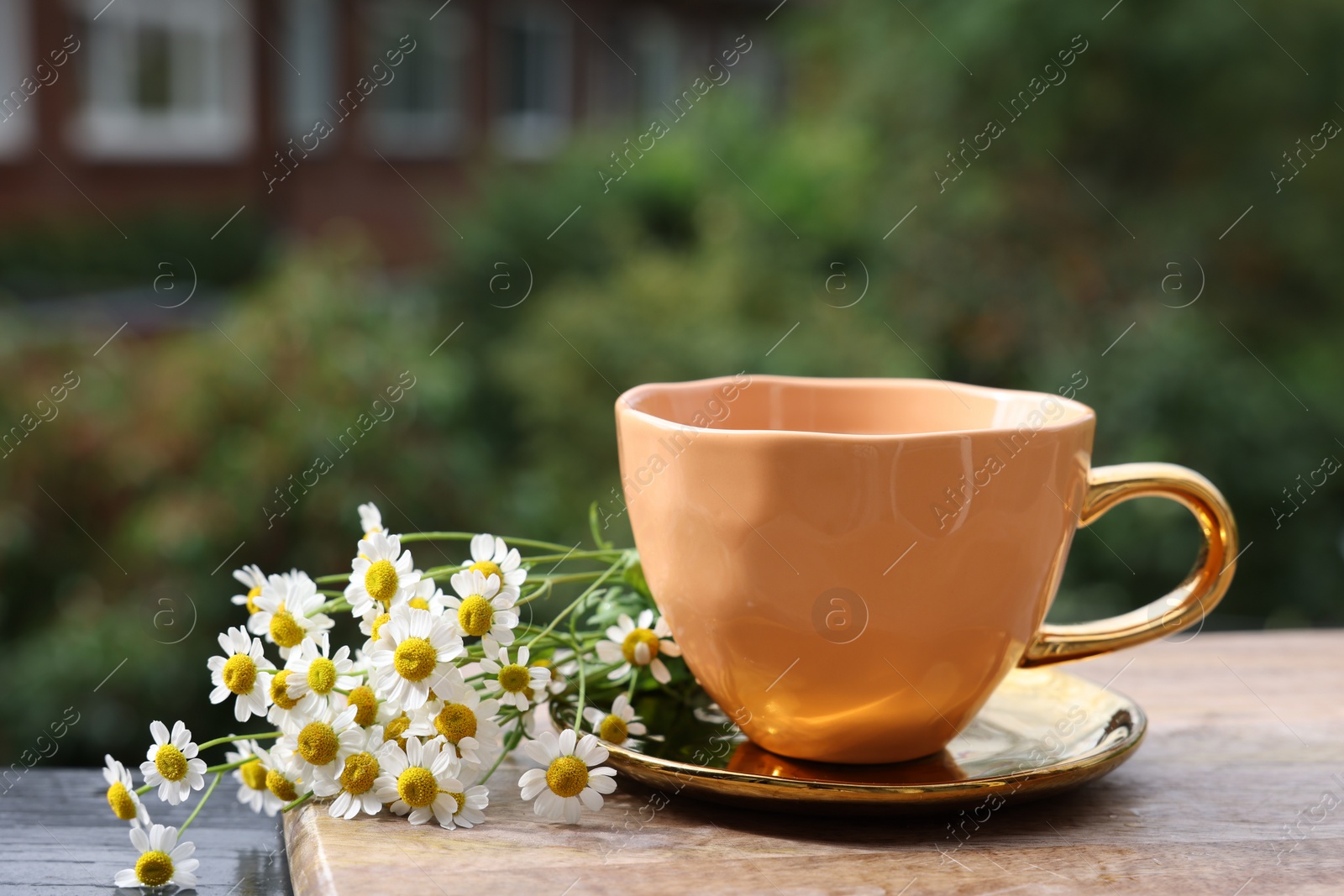 Photo of Cup of delicious chamomile tea and fresh flowers outdoors