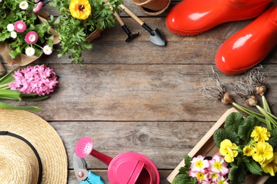 Flat lay composition with gardening equipment and space for text on wooden background