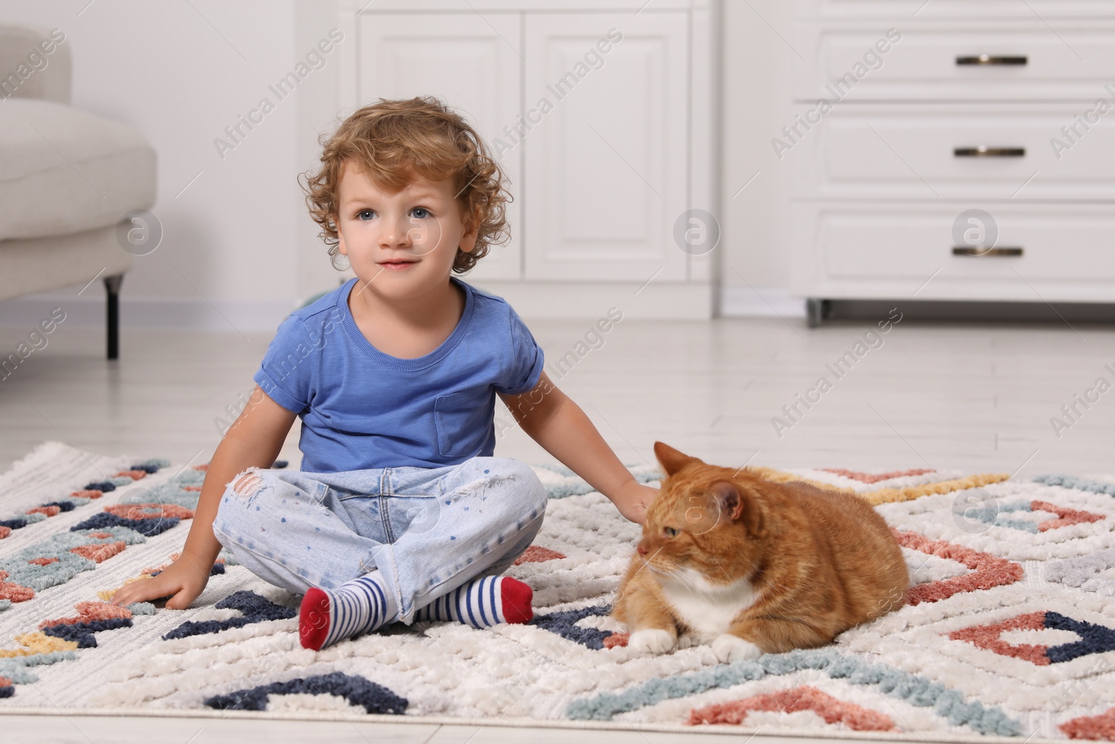 Photo of Little boy and cute ginger cat on carpet at home