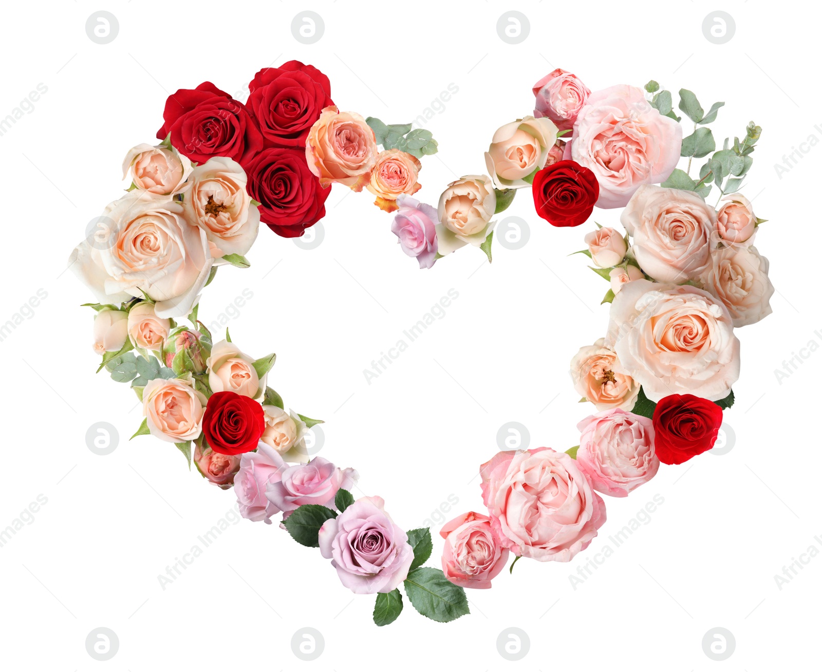 Image of Heart made of beautiful roses on white background