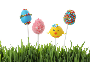 Different delicious cake pops for Easter celebration and grass on white background