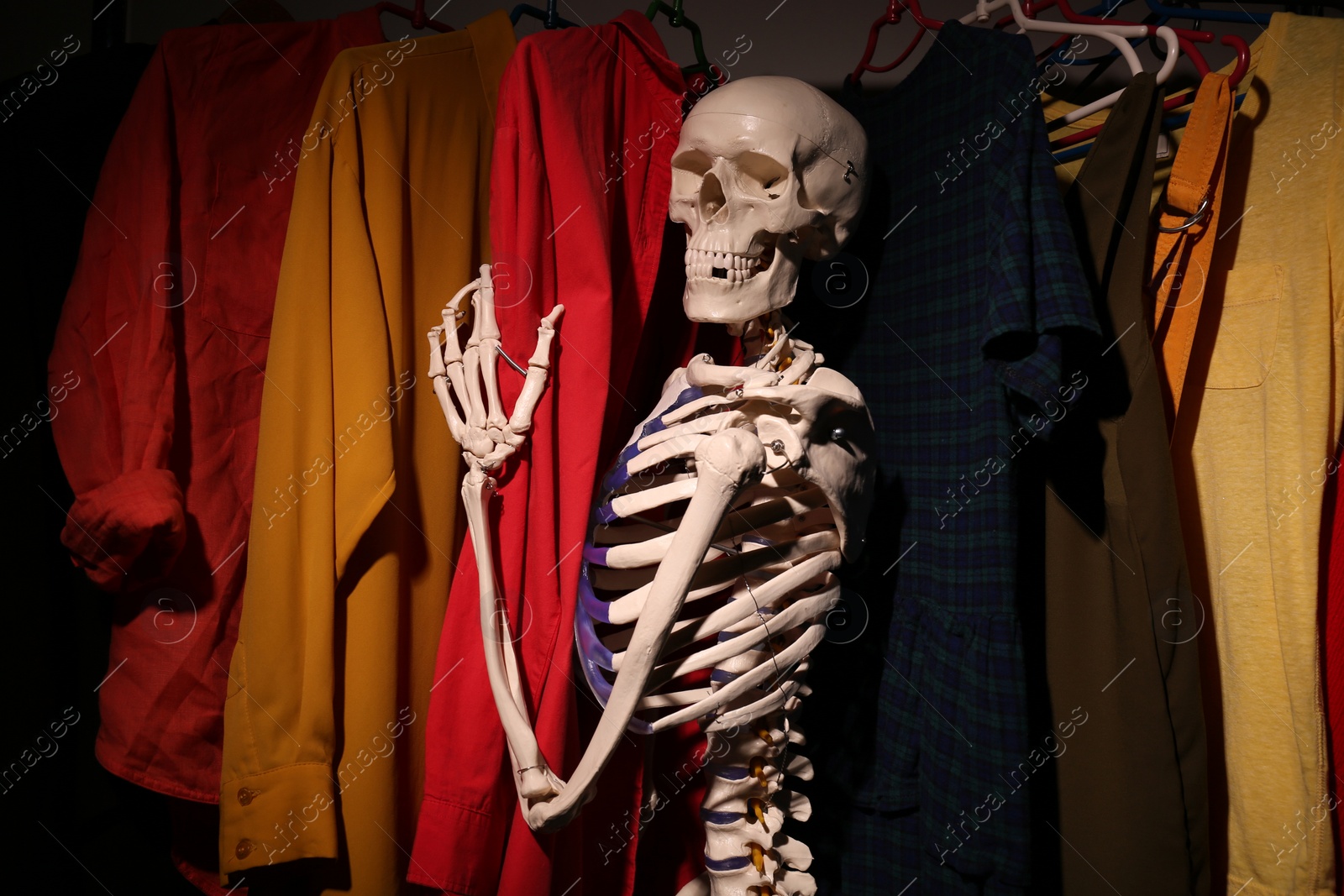 Photo of Artificial human skeleton model among clothes in wardrobe