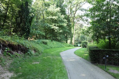 Photo of Beautiful green grass and pathway in park on sunny day