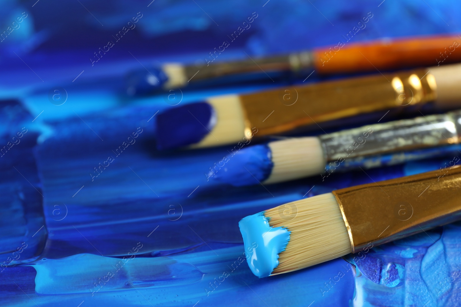 Photo of Set of different brushes on abstract colorful paint, closeup