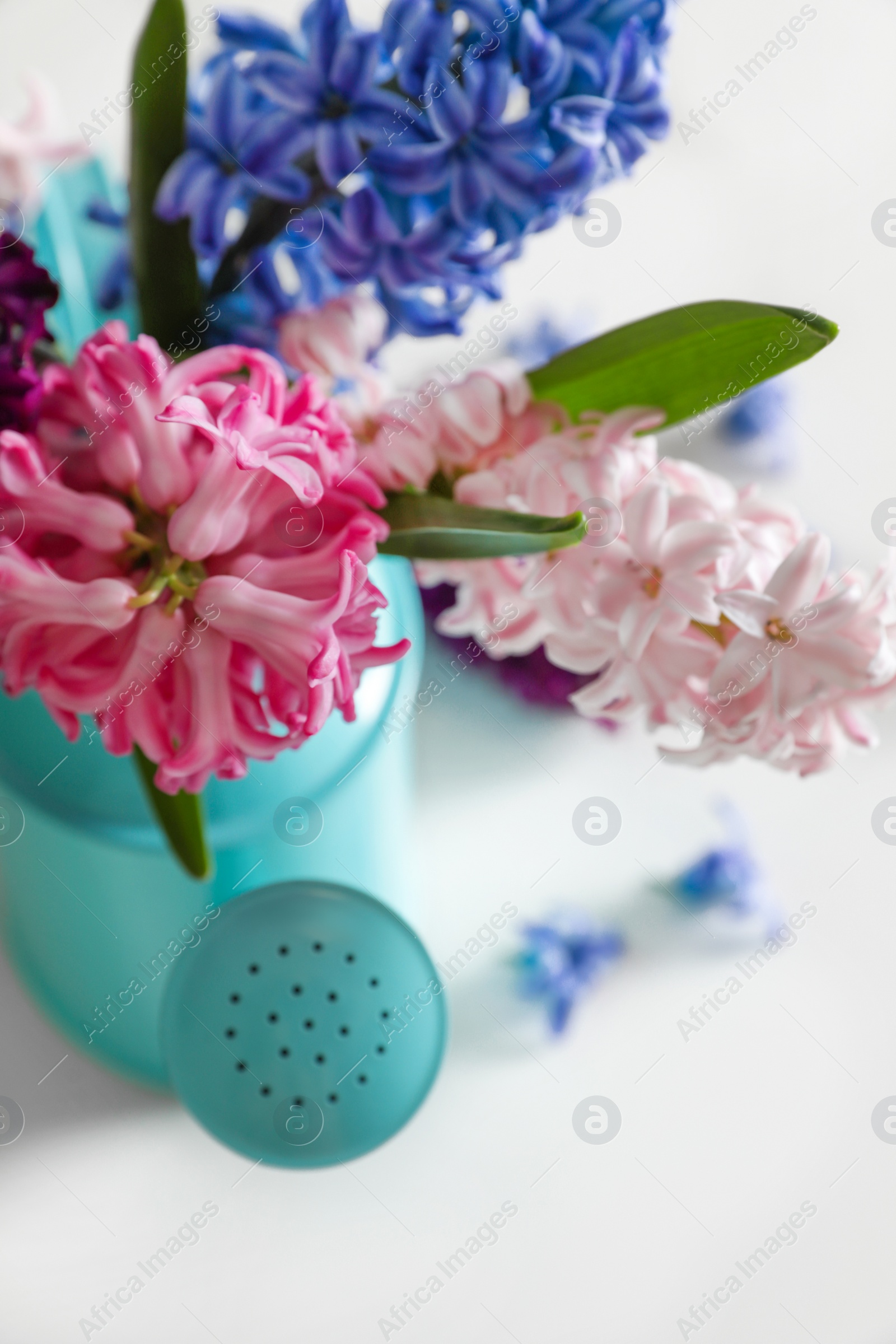 Photo of Beautiful hyacinths in watering can on table, closeup. Spring flowers