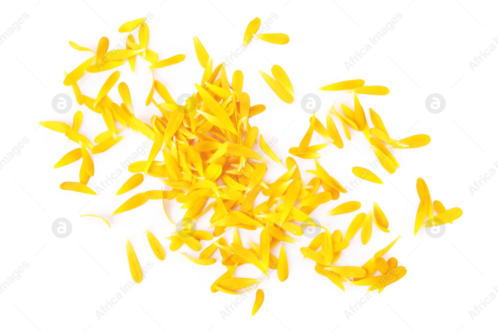 Photo of Pile of beautiful calendula petals on white background, top view