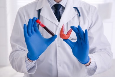Photo of Doctor holding thyroid gland model and blood sample indoors, closeup