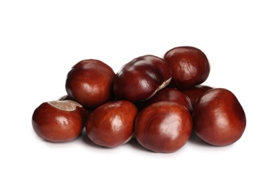 Pile of horse chestnuts isolated on white