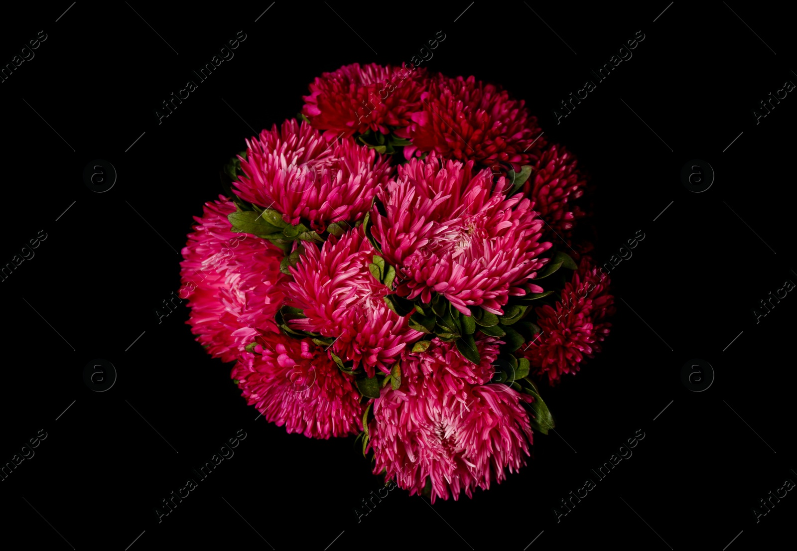 Photo of Bouquet of beautiful pink asters on black background, top view. Autumn flowers