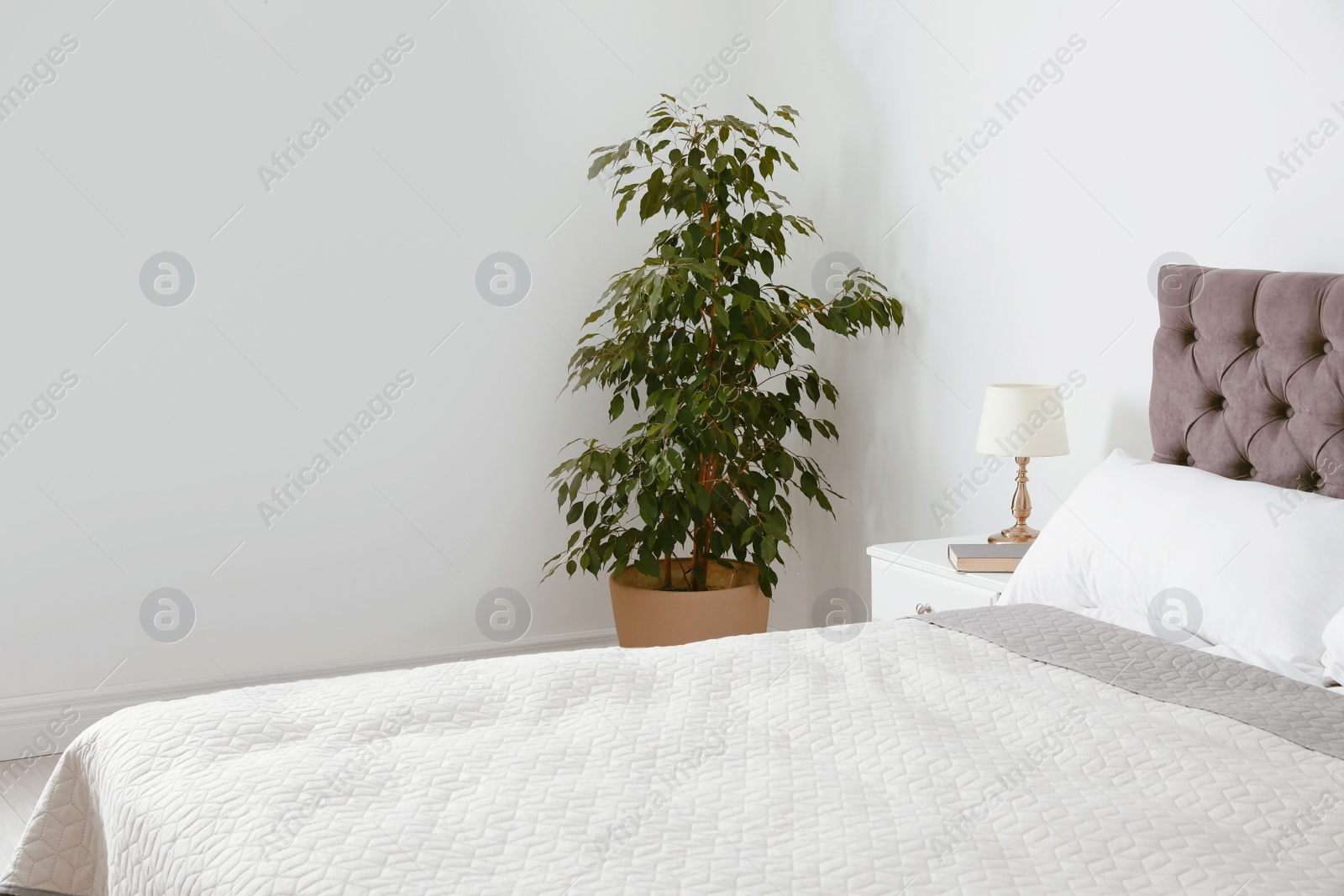 Photo of Large bed with blanket and pillows in modern apartment