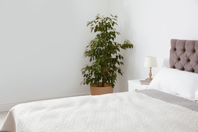 Large bed with blanket and pillows in modern apartment