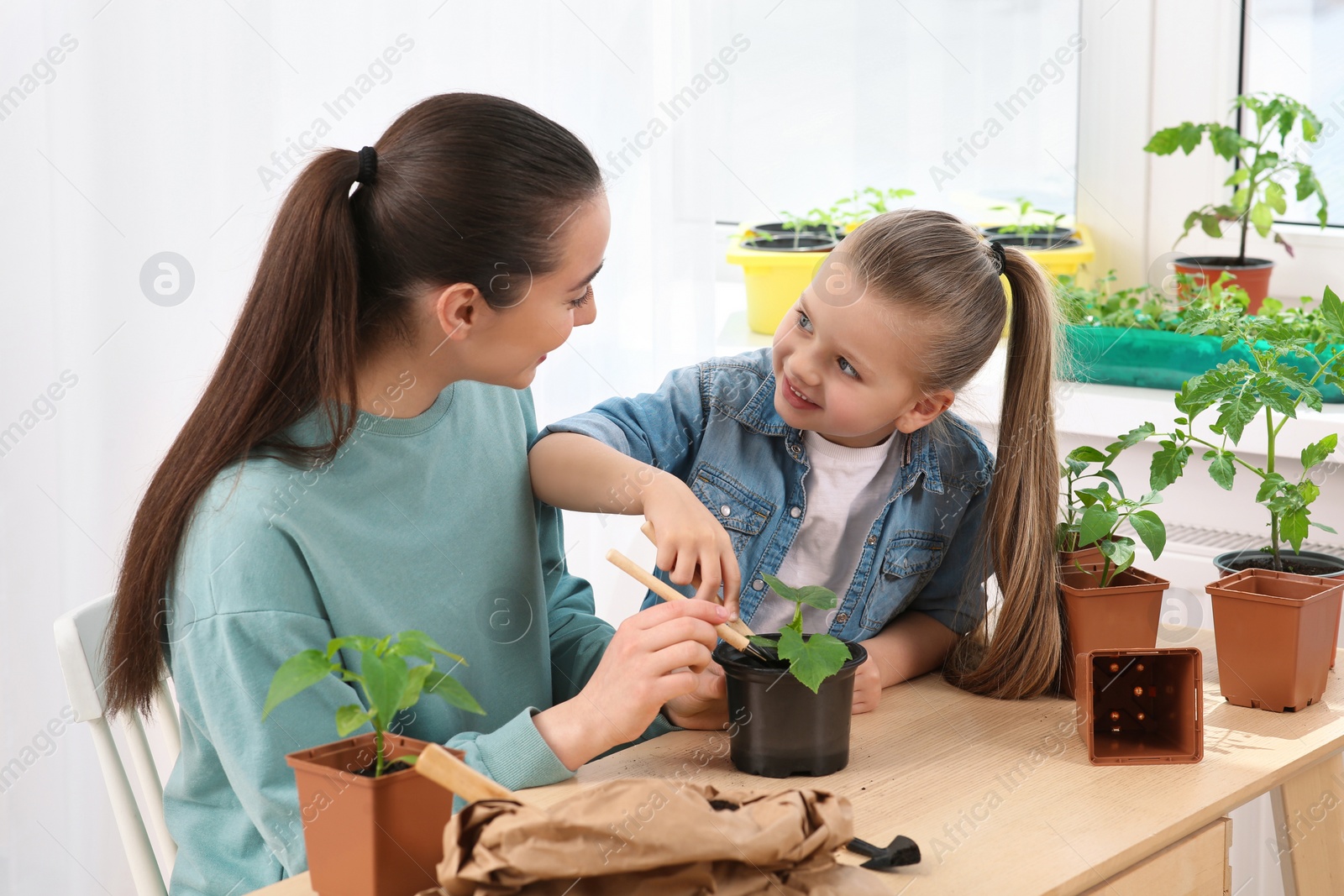 Photo of Mother and daughter planting seedling into pot together at wooden table indoors