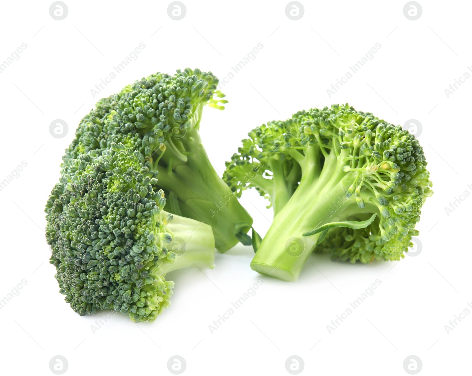 Photo of Fresh broccoli isolated on white. Edible green plant