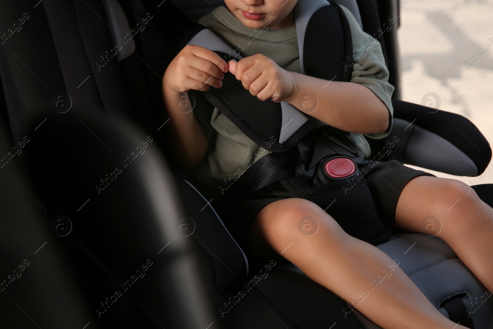 Photo of Little boy fastened with car safety belt in child seat, closeup