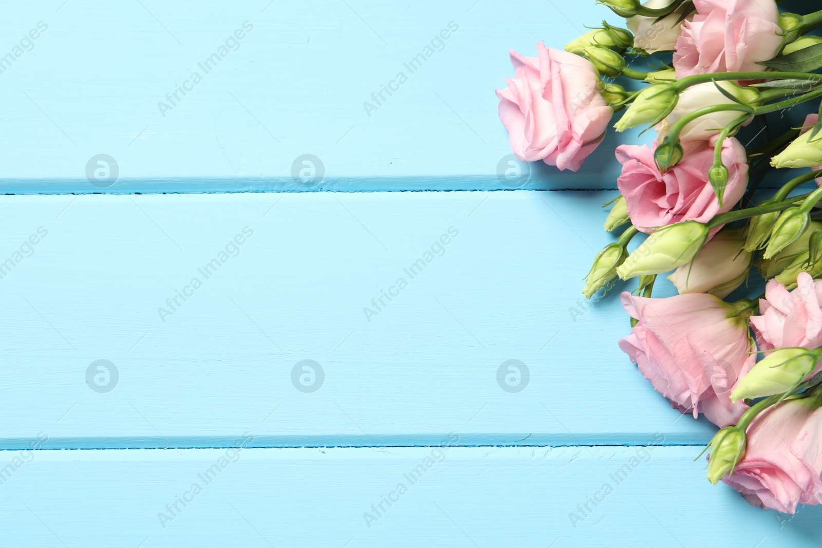 Photo of Happy Mother's Day. Beautiful flowers on light blue wooden table, flat lay. Space for text