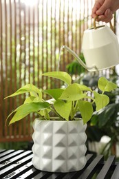 Photo of Woman watering beautiful house plant at table, closeup