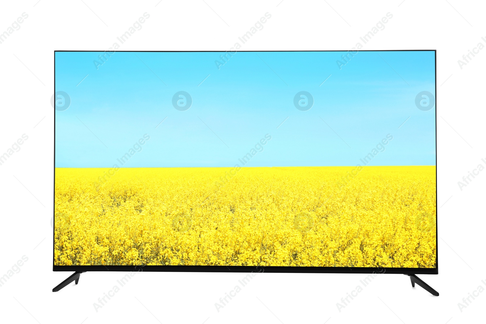 Image of Modern wide screen TV monitor showing field with blossoming yellow flowers and blue sky isolated on white