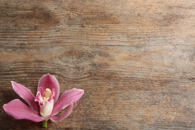 Photo of Beautiful tropical orchid flower on wooden background, top view. Space for text