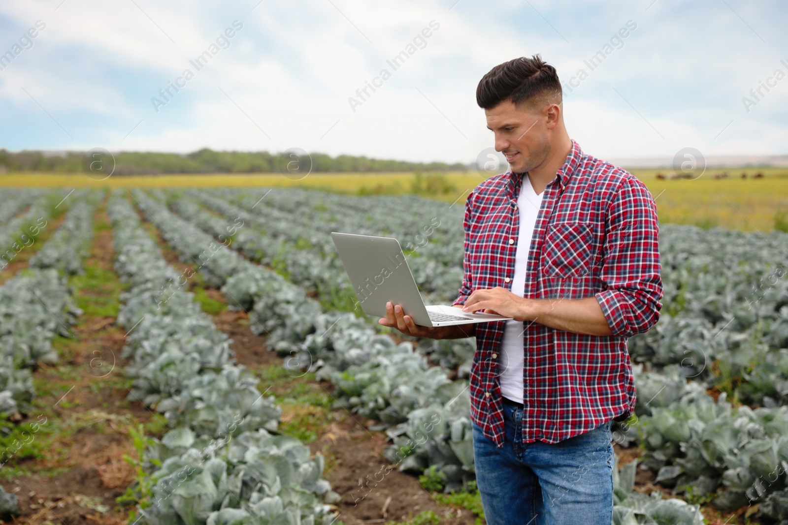 Photo of Man using laptop in field. Agriculture technology