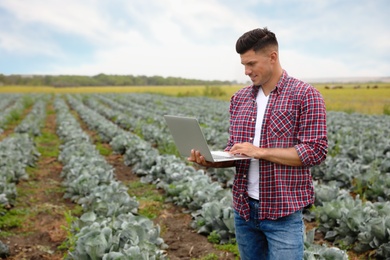 Man using laptop in field. Agriculture technology