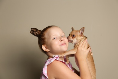 Little girl with her Chihuahua dog on grey background. Childhood pet