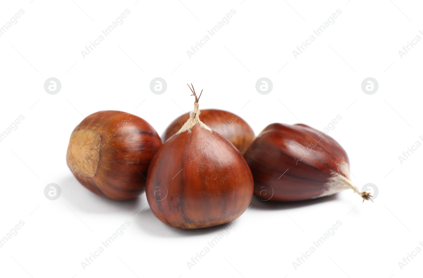 Photo of Fresh sweet edible chestnuts on white background