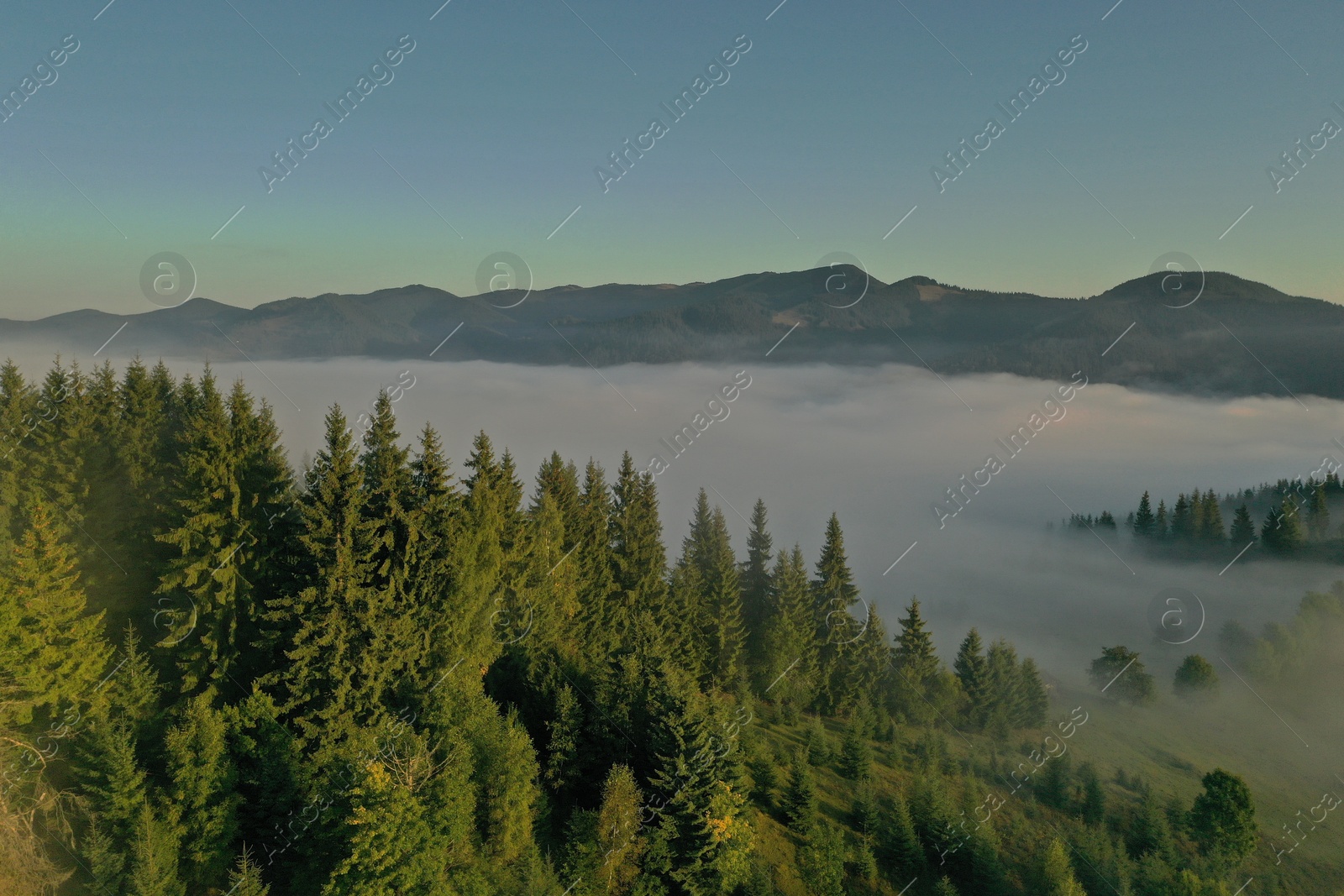 Photo of Aerial view of beautiful landscape with misty forest in mountains