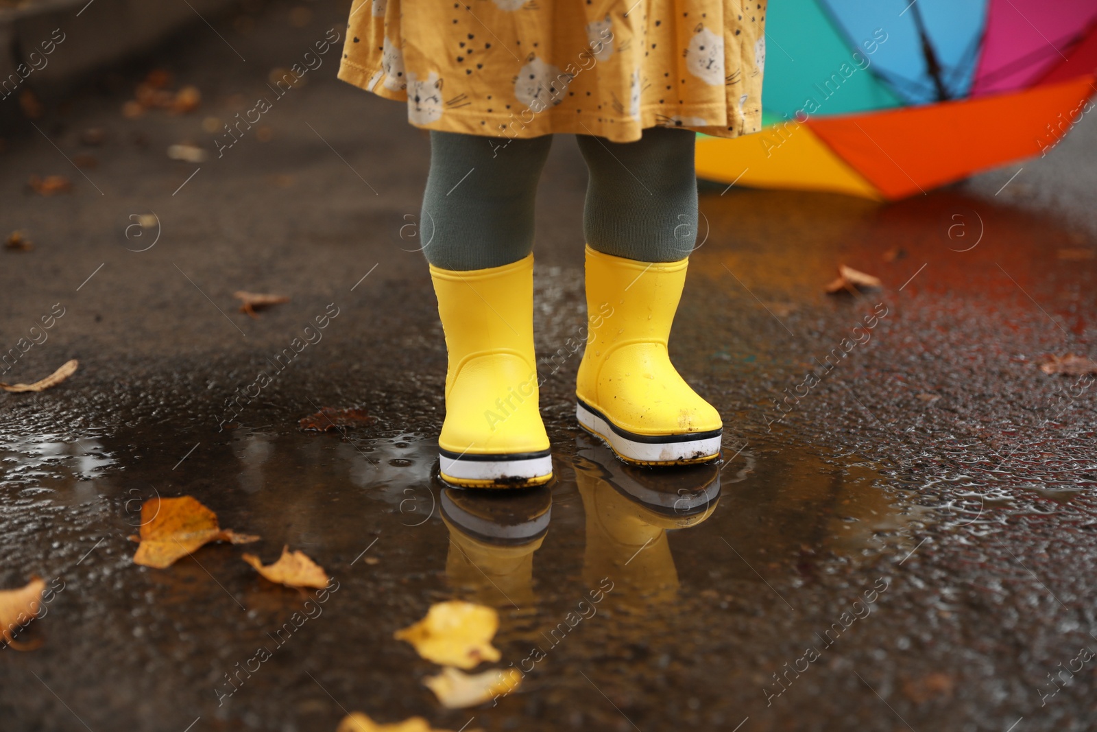 Photo of Little girl wearing yellow rubber boots standing in puddle outdoors, closeup