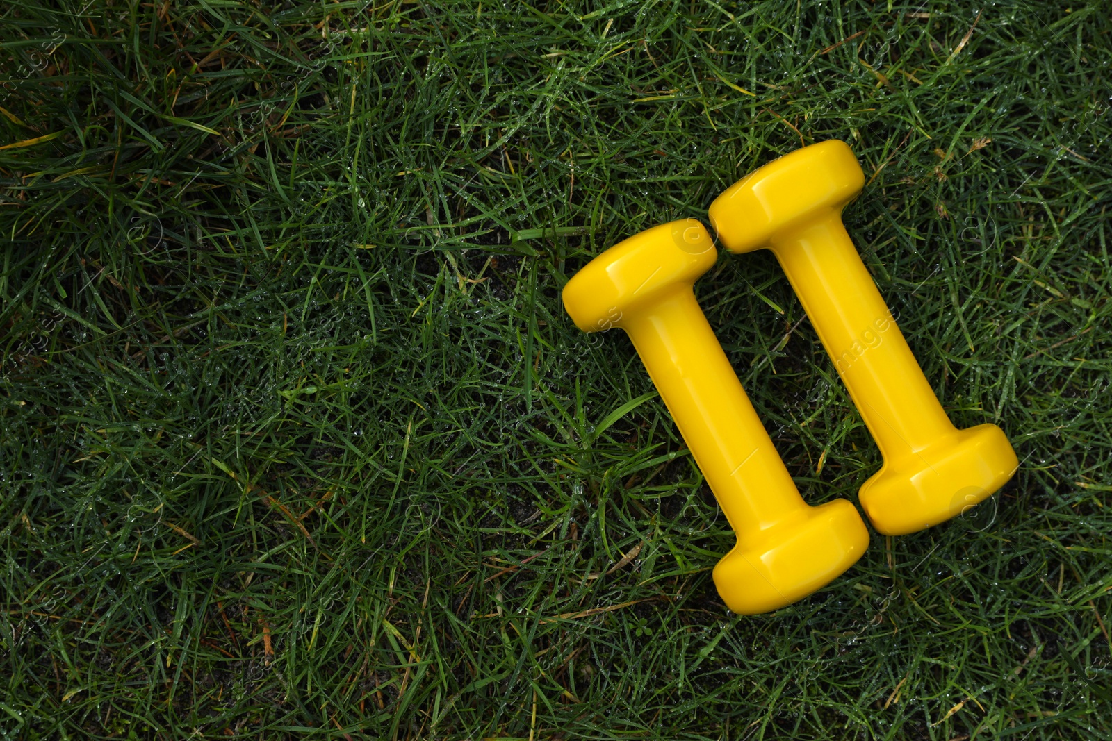 Photo of Yellow dumbbells on green grass, top view with space for text. Morning exercise