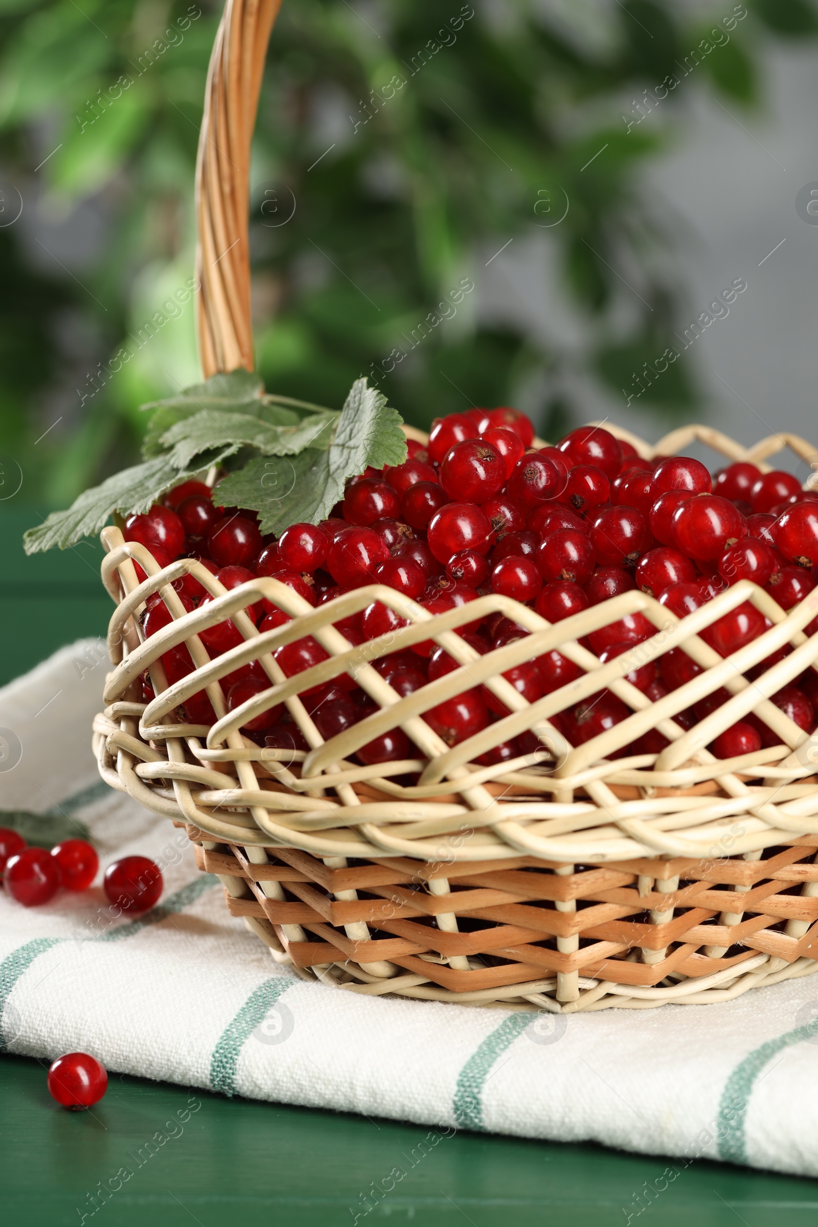 Photo of Ripe red currants and leaves in wicker basket on green table