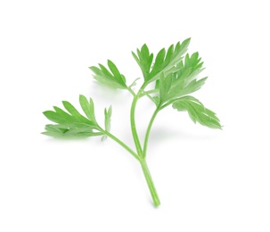 Photo of Leaves of fresh tasty parsley on white background