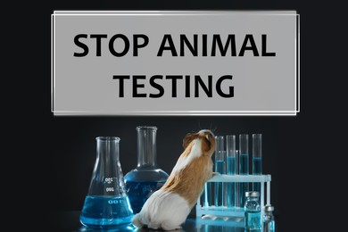 Image of STOP ANIMAL TESTING. Guinea pig and laboratory glassware on table
