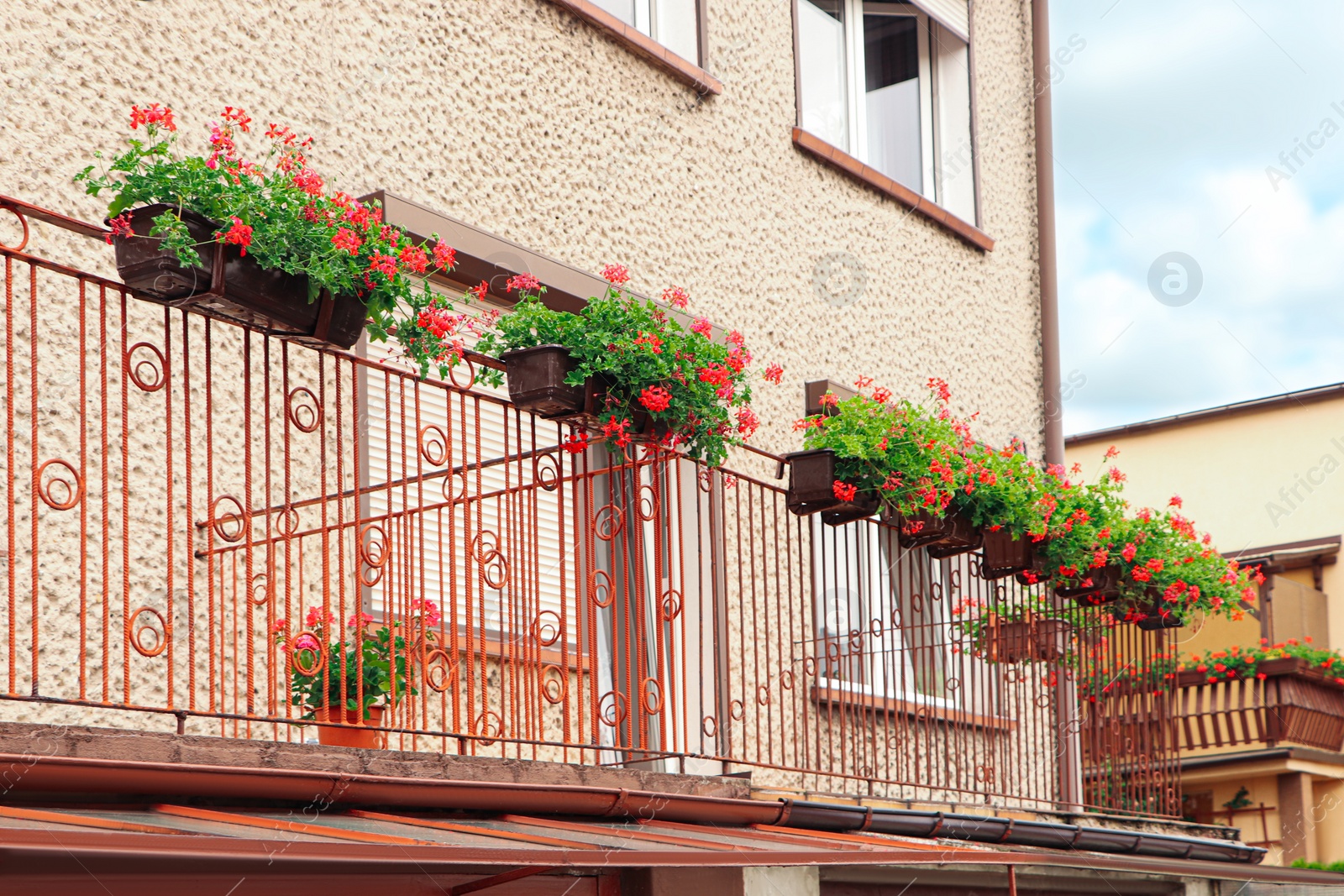 Photo of Balcony decorated with beautiful blooming potted flowers