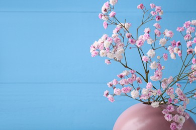 Photo of Beautiful dyed gypsophila flowers in pink vase against light blue background. Space for text
