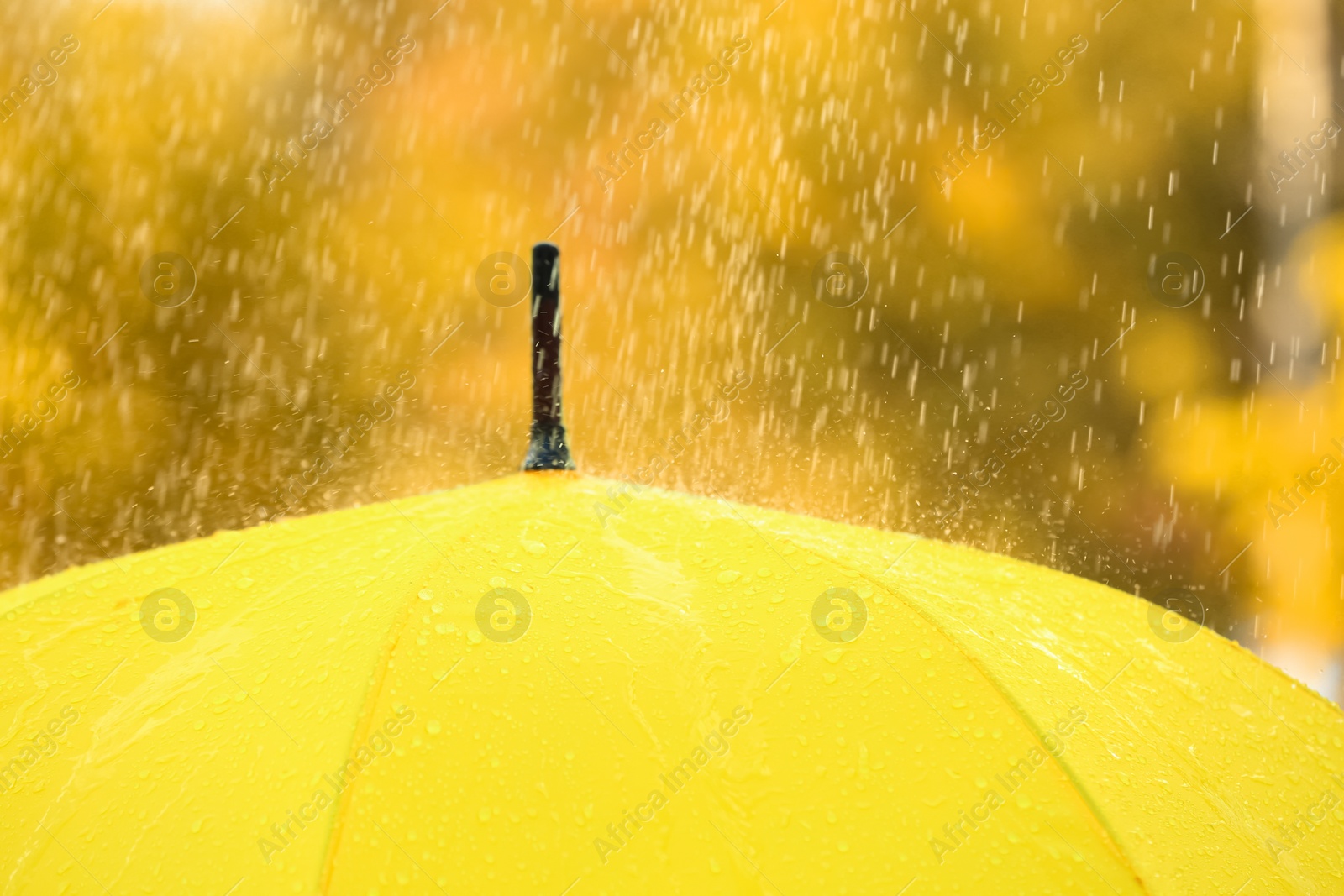 Photo of Bright color umbrella under rain outdoors, closeup