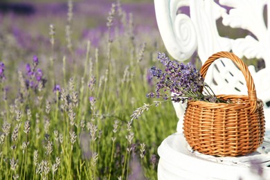 Photo of Wicker bag with beautiful lavender flowers on chair in field, space for text