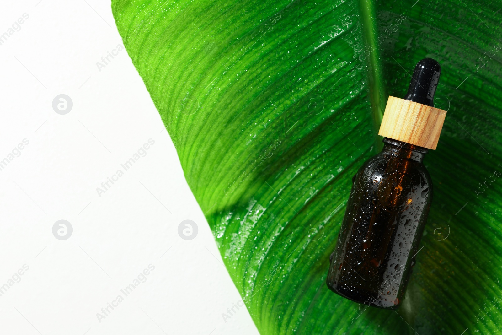 Photo of Bottle of cosmetic product and wet green leaf on white background, top view. Space for text