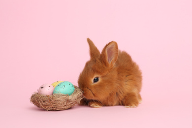 Adorable fluffy bunny and decorative nest with Easter eggs on pink background