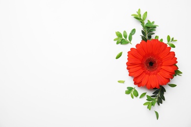 Flat lay composition with beautiful bright gerbera flower on white background. Space for text