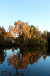 Photo of Picturesque view of lake and trees on autumn day