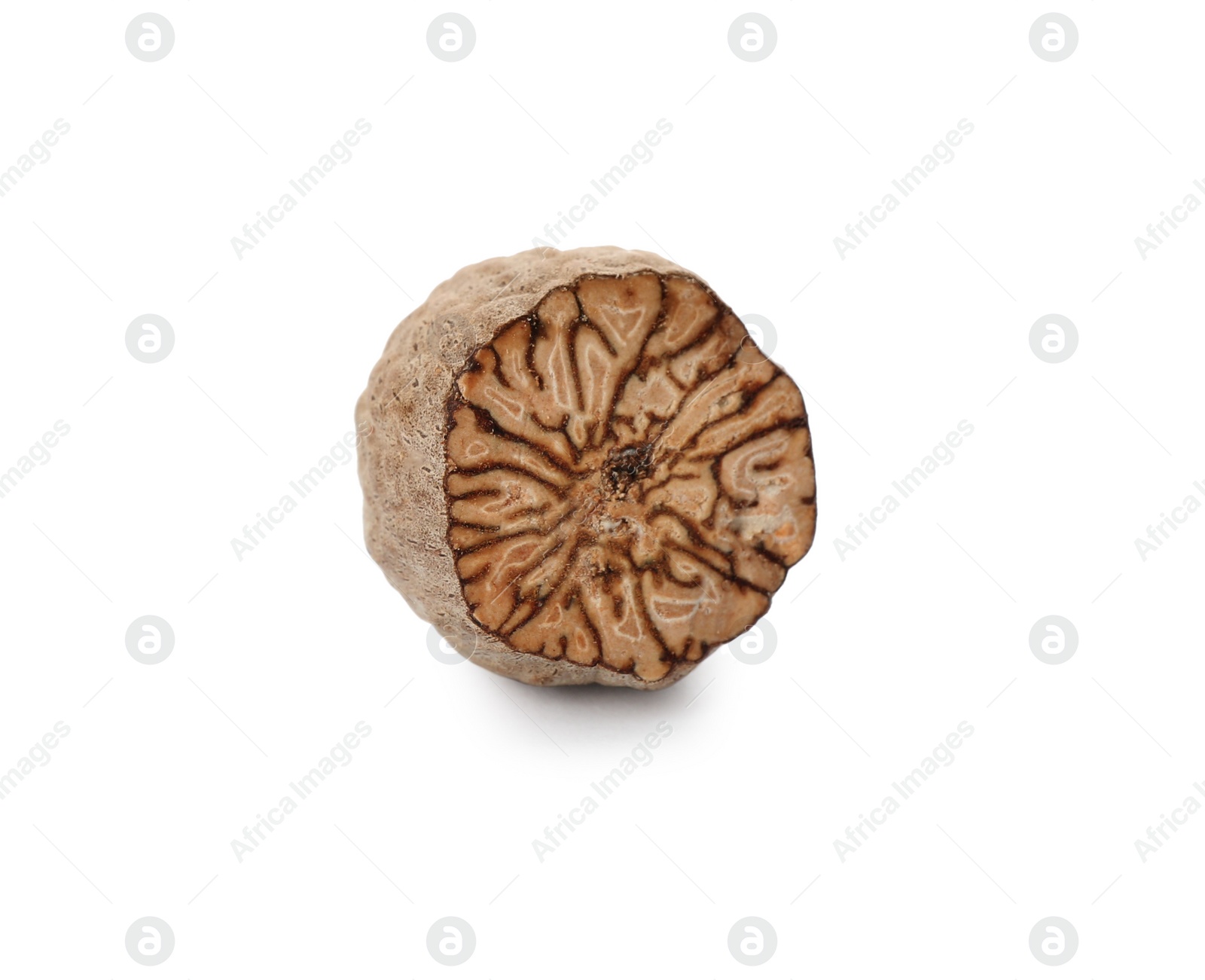 Photo of Piece of nutmeg seed isolated on white