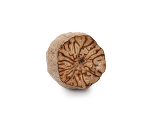 Photo of Piece of nutmeg seed isolated on white